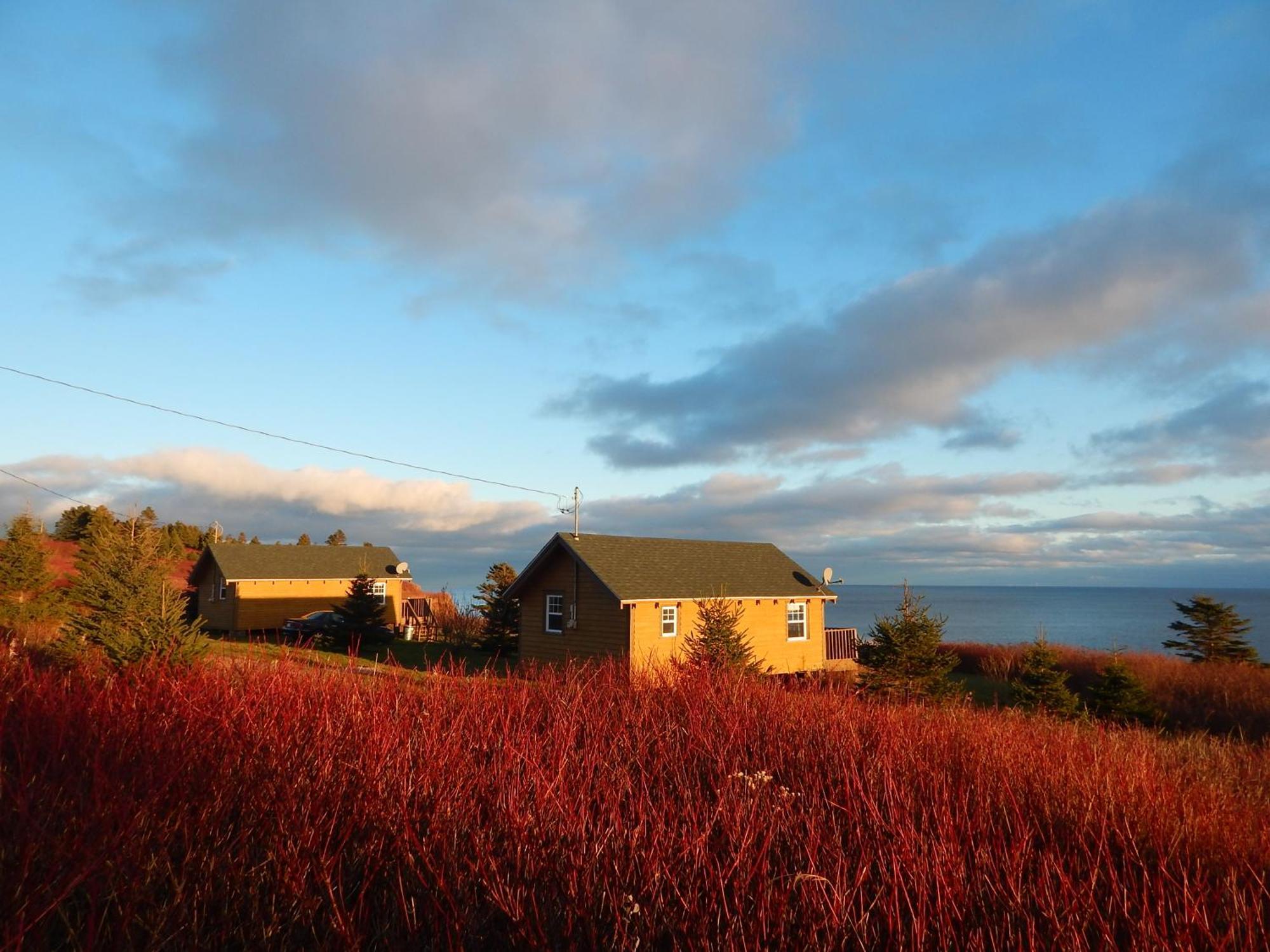 Les Chalets Brise-De-Mer Sainte-Therese-de-Gaspe Экстерьер фото